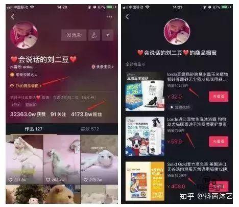 抖音案例分析：抖音网红怎么赚钱？一条视频报价43万，抖音网红真的很赚钱？-图片4